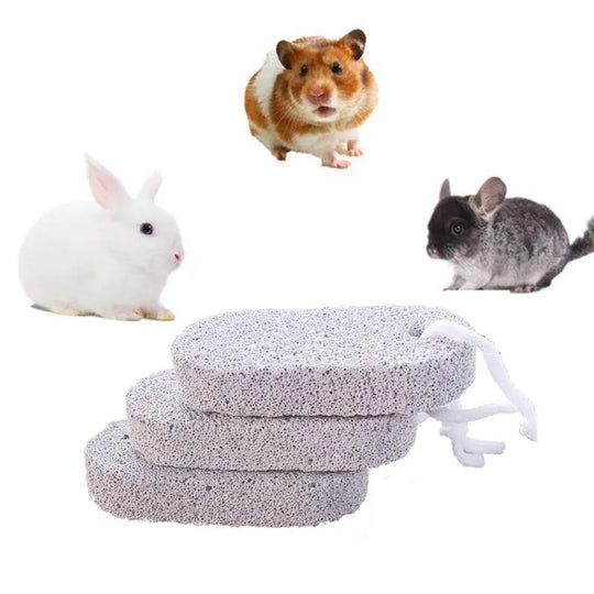 Teeth Grinding Stone For Small Pets