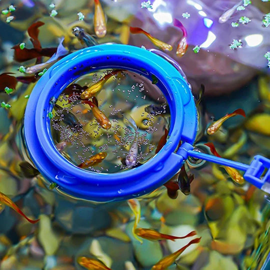 Floating Fish Feeder