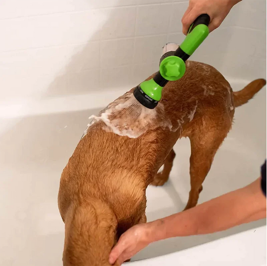 High-pressure dog washer