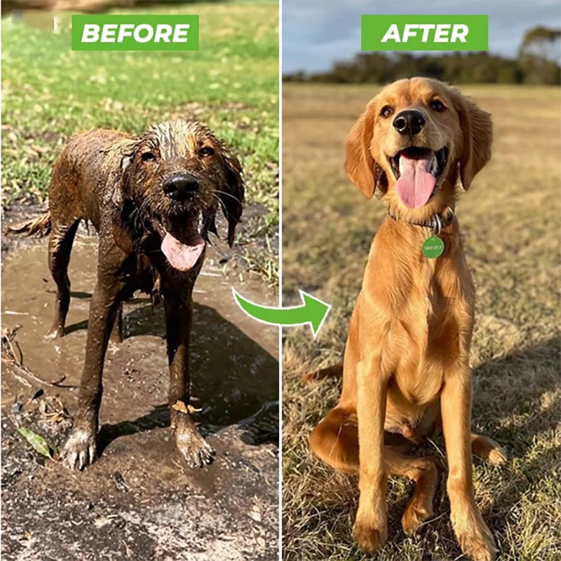 High-pressure dog washer