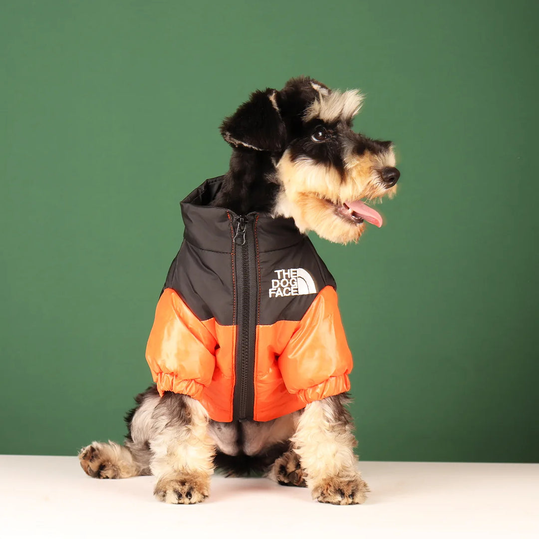 Warm Reflective dog Coat