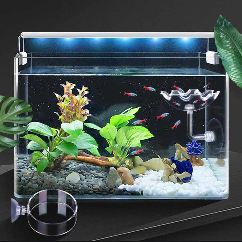 Transparent Acrylic Fish Tank Feeding Circle With Suction Cup