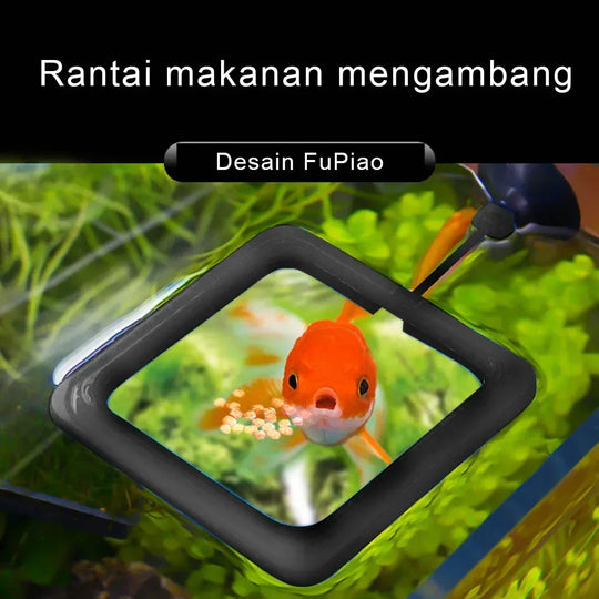 Floating Fish Feeder