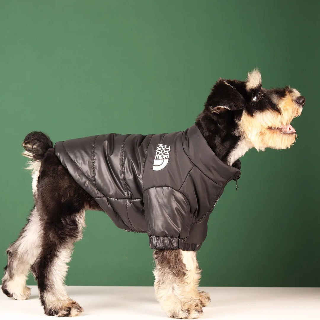 Warm Reflective dog Coat