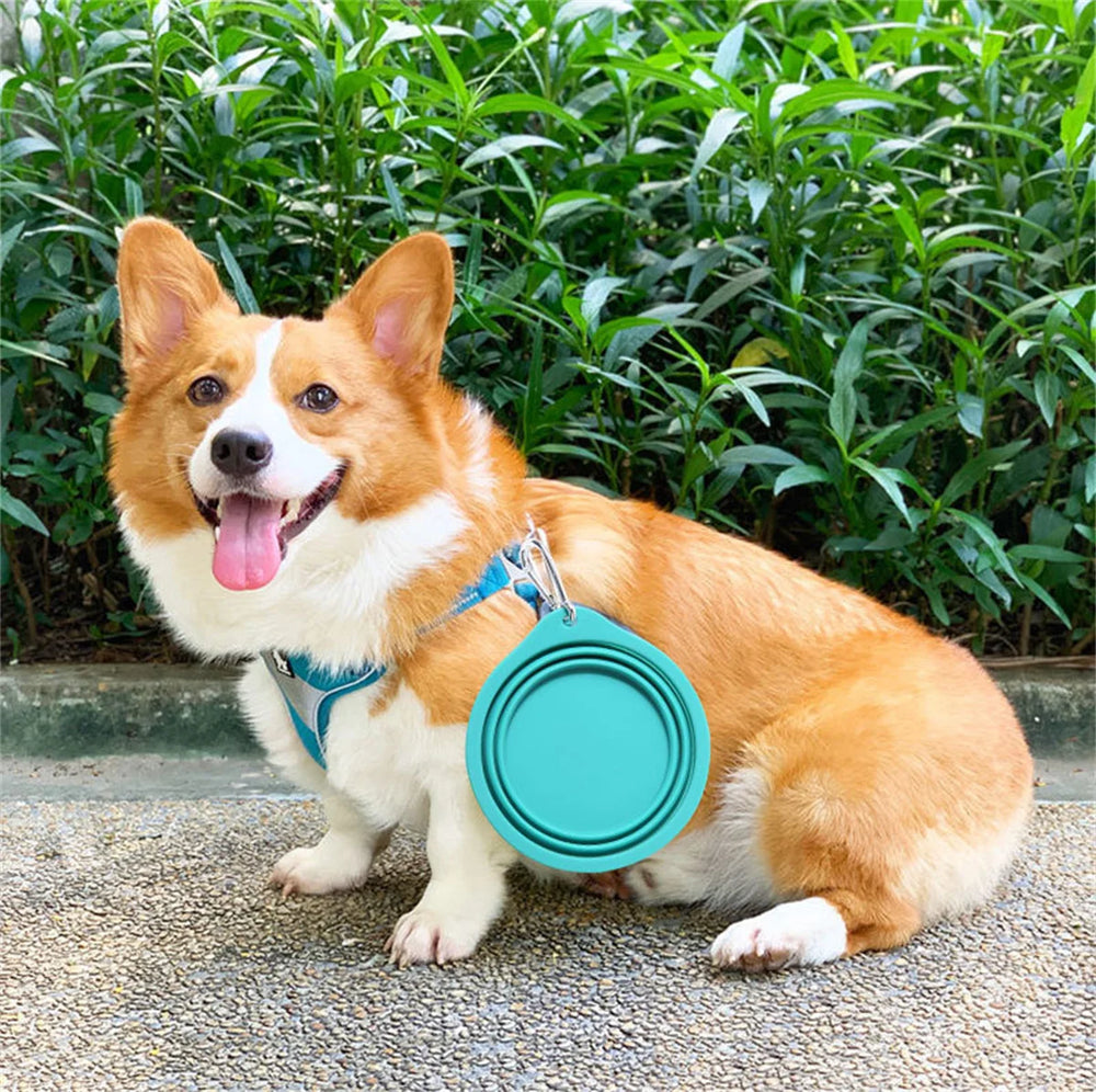 350/600ml Large Collapsible Dog Bowl