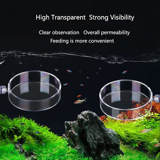 Transparent Acrylic Fish Tank Feeding Circle With Suction Cup