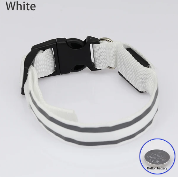 USB Rechargeable Dog collar/Nylon Reflective LED Dog Collar