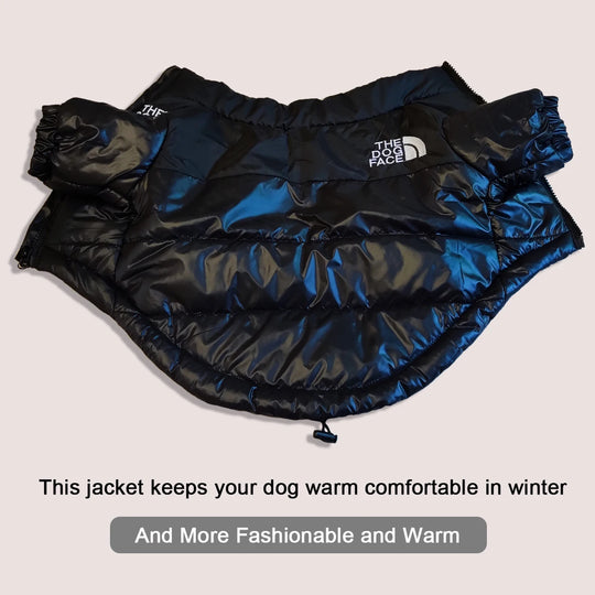 Warm Reflective dog Coat