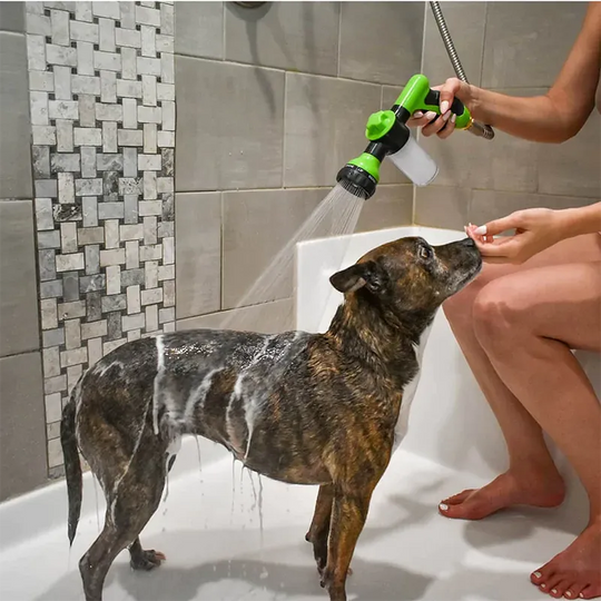 High-pressure dog washer