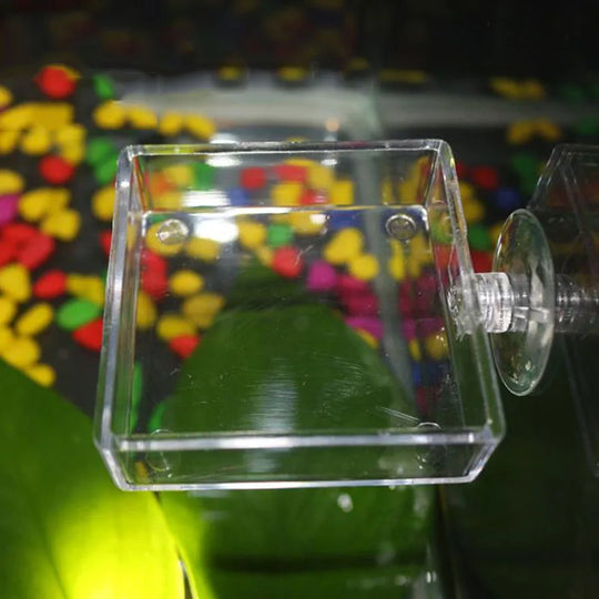 Transparent Acrylic Fish Tank Feeding Circle With Suction Cup