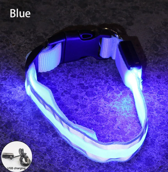 USB Rechargeable Dog collar/Nylon Reflective LED Dog Collar