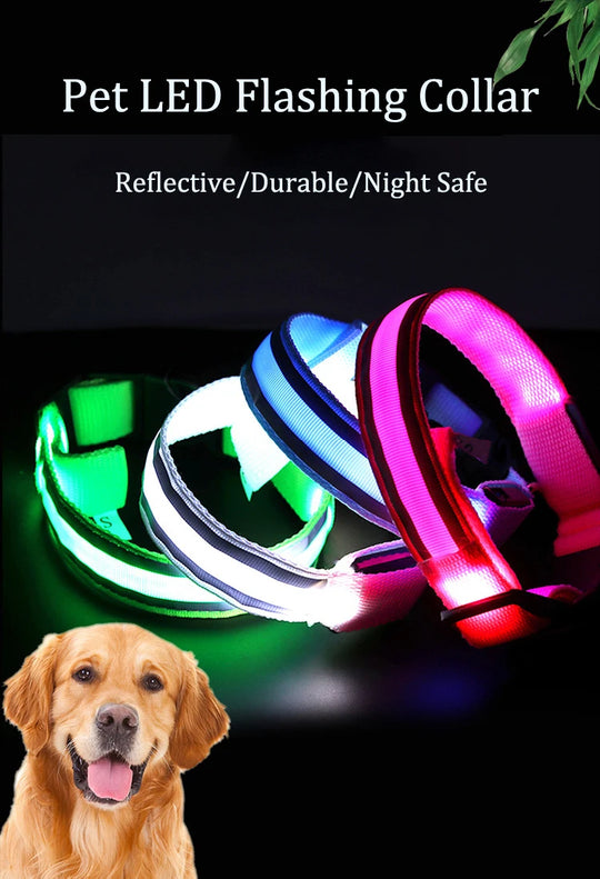 USB Rechargeable Dog collar/Nylon Reflective LED Dog Collar