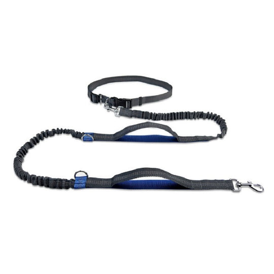 Multifunctional elastic lead