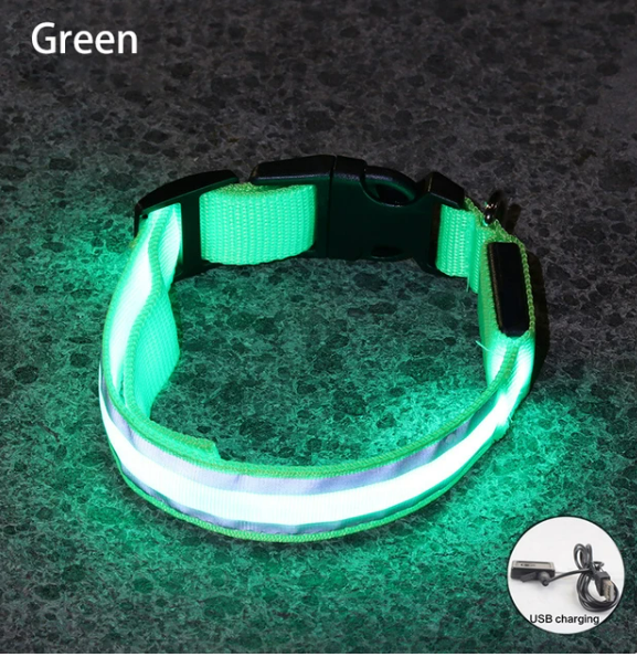 USB Rechargeable Dog collar/Nylon Reflective LED Dog Collar