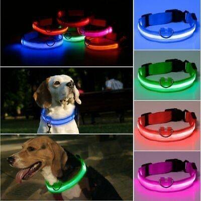 USB Rechargeable Dog collar/Nylon Reflective LED Dog Collar