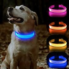 USB Rechargeable Dog collar/Nylon Reflective LED Dog Collar