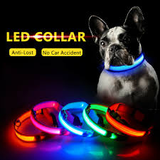 USB Rechargeable Dog collar/Nylon Reflective LED Dog Collar