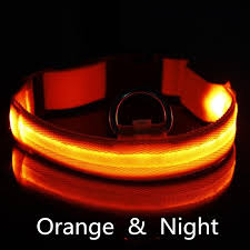 USB Rechargeable Dog collar/Nylon Reflective LED Dog Collar