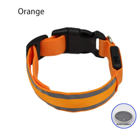 USB Rechargeable Dog collar/Nylon Reflective LED Dog Collar