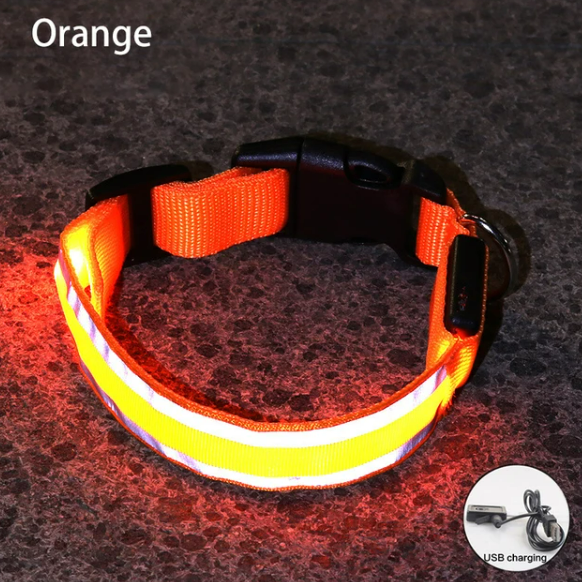 USB Rechargeable Dog collar/Nylon Reflective LED Dog Collar