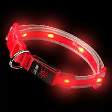 USB Rechargeable Dog collar/Nylon Reflective LED Dog Collar