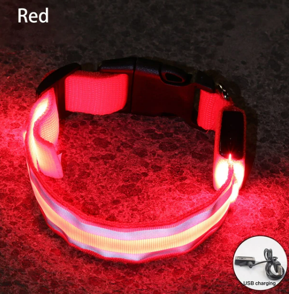 USB Rechargeable Dog collar/Nylon Reflective LED Dog Collar