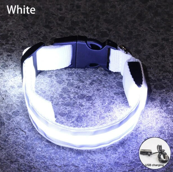 USB Rechargeable Dog collar/Nylon Reflective LED Dog Collar