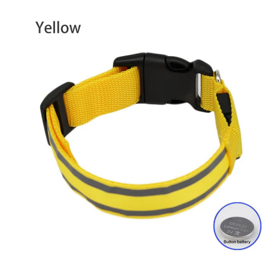 USB Rechargeable Dog collar/Nylon Reflective LED Dog Collar